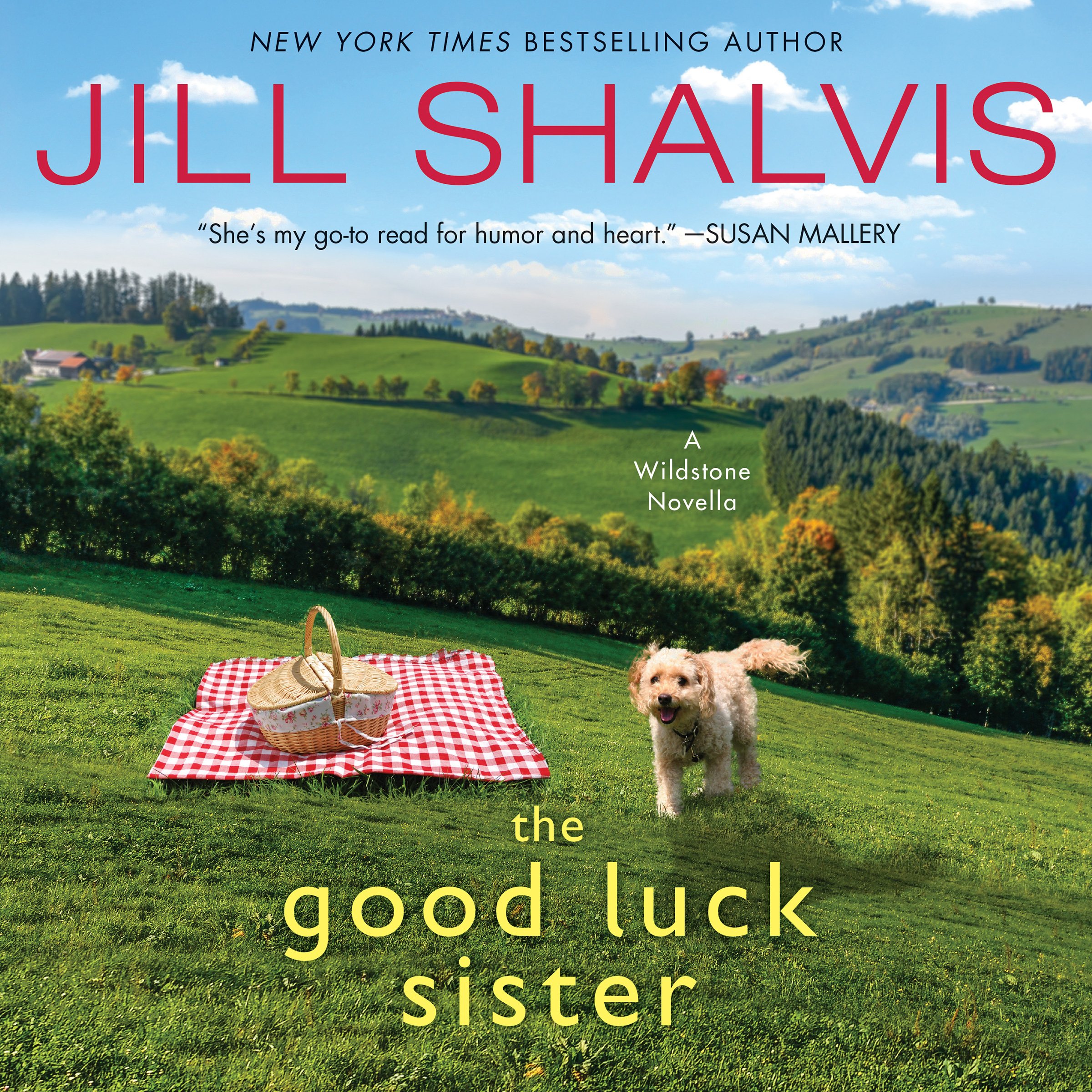 Cover art for The Good Luck Sister