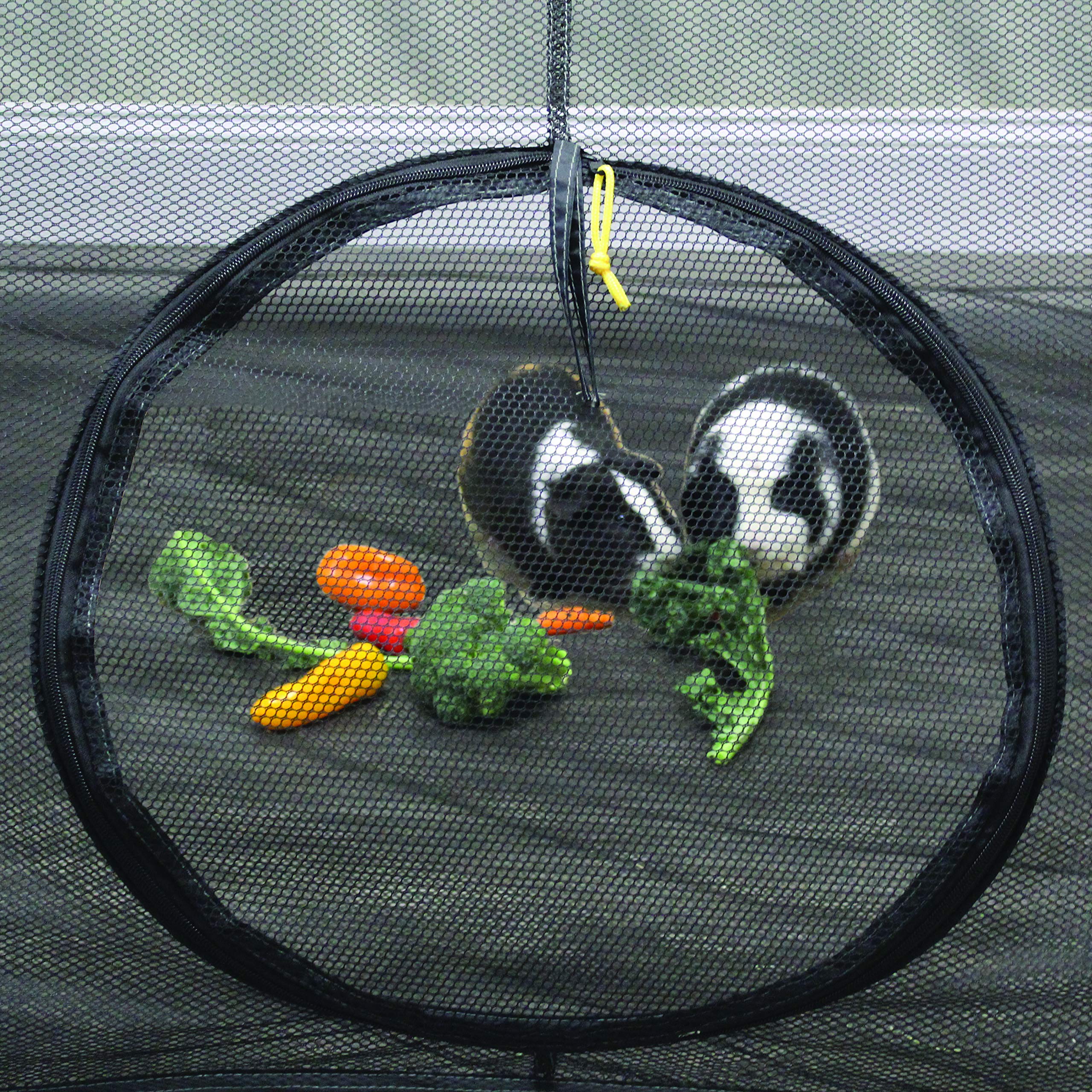 outback jack cat enclosure