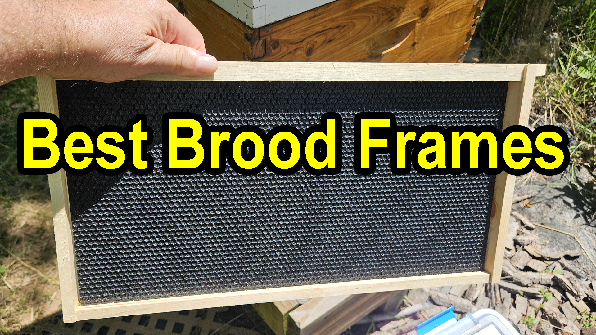 Watch Buy High Quality - Black Wax Coated Honey Bee Brood Frames on ...