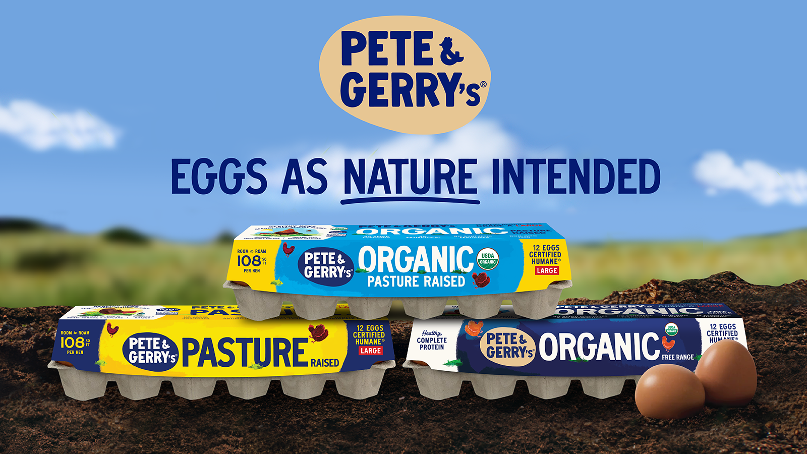 Amazon.com: Pete & Gerrys Organic Eggs Large 18 CT : Grocery