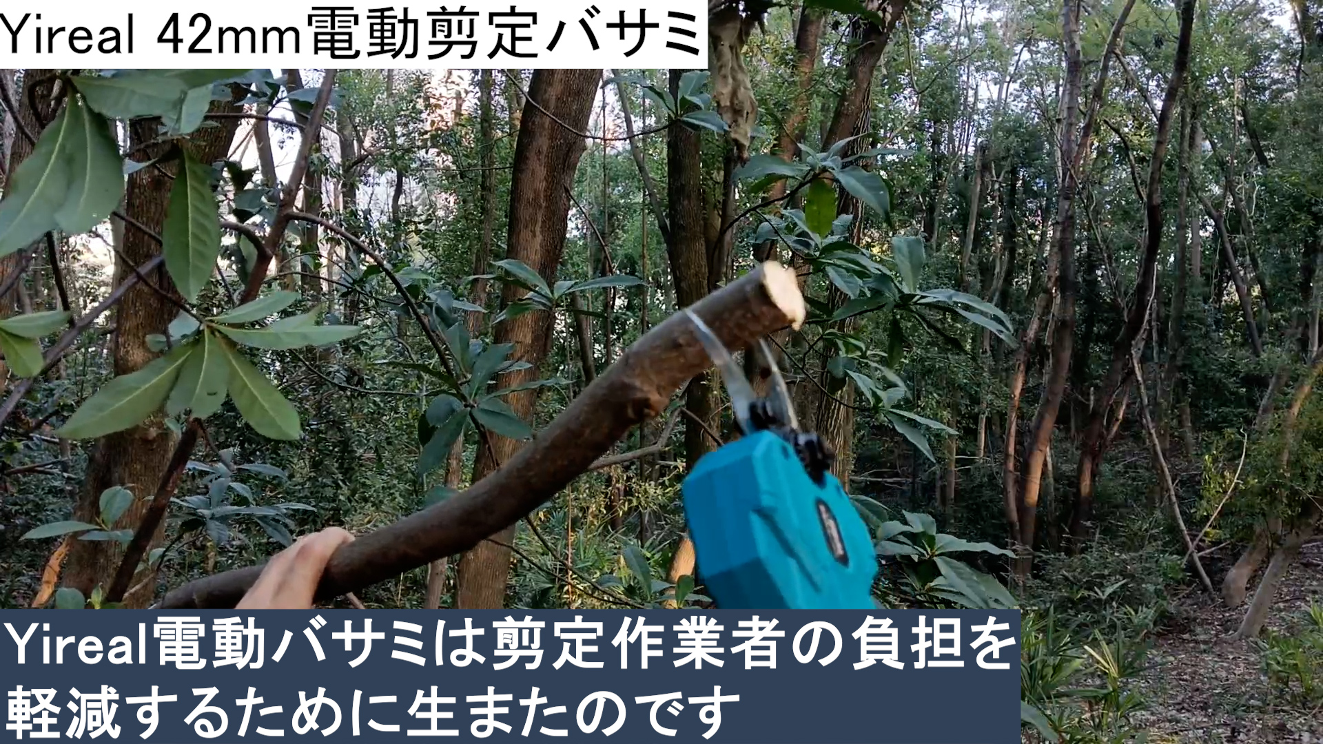 Amazon | 電動剪定バサミ 電動バサミ 園芸用はさみ 【山本造園