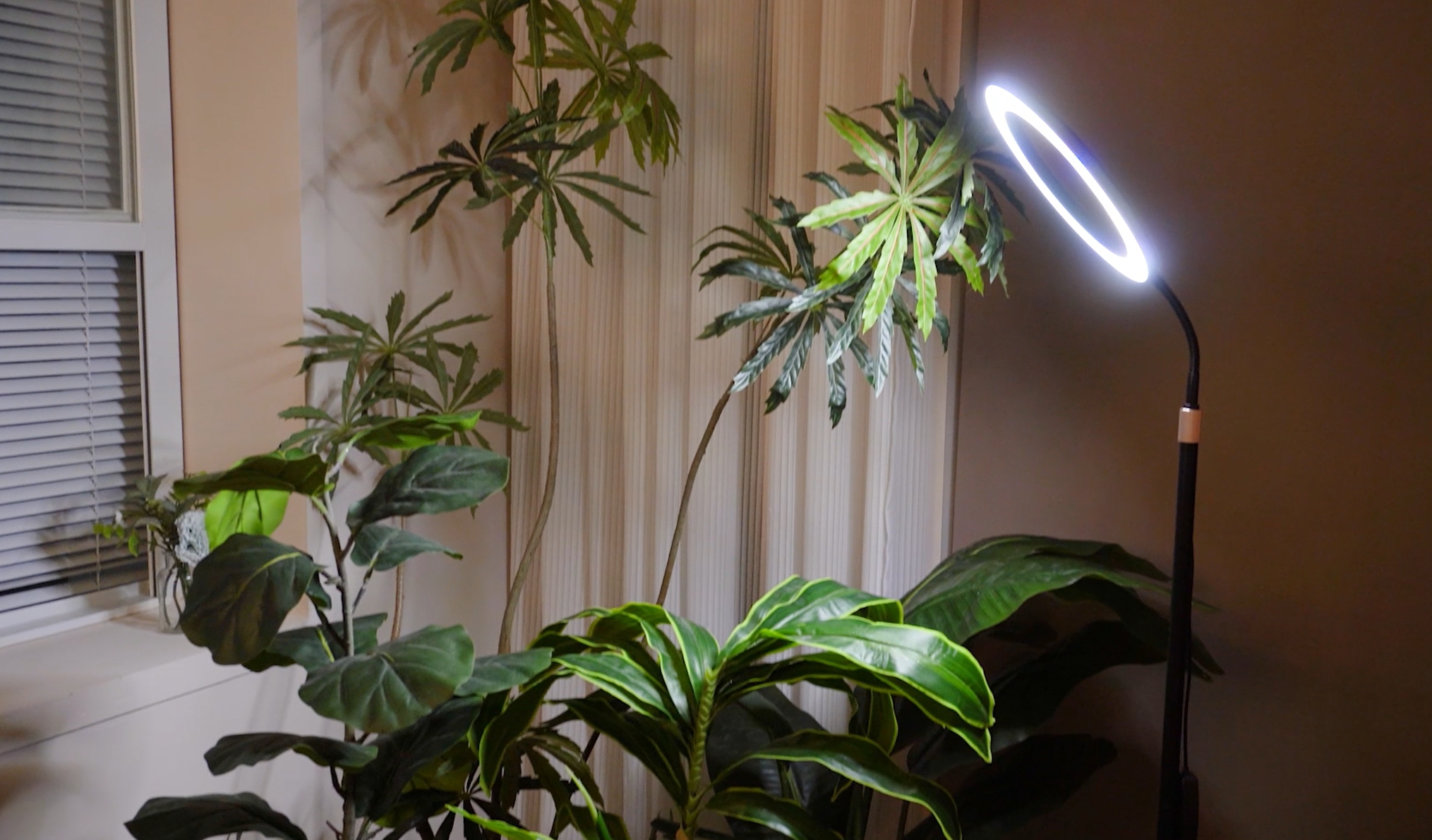 Amazon.com : LBW 10.2in Grow Lights for Indoor Plants Full