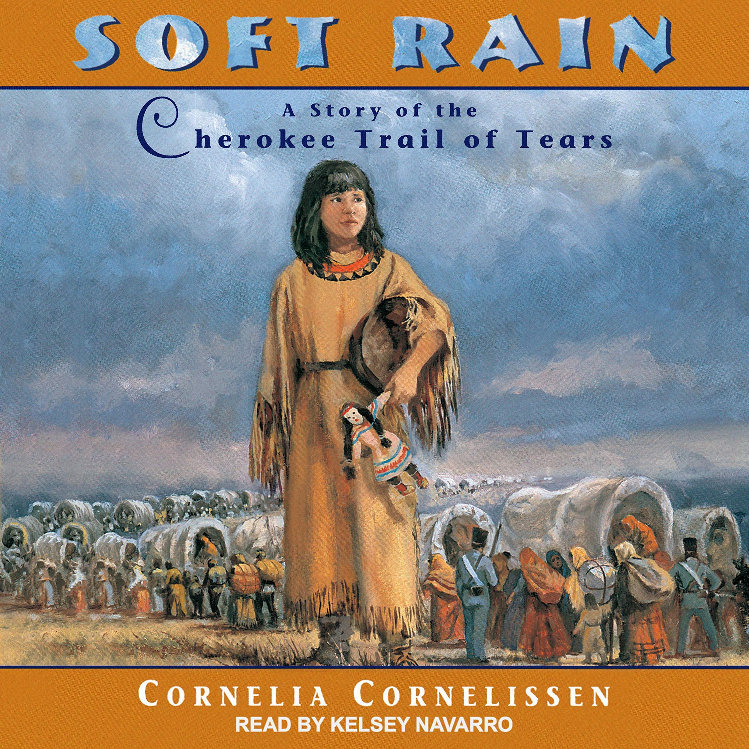 Cover art for Soft Rain