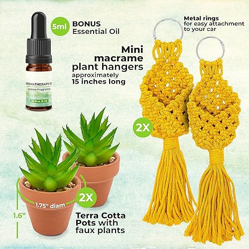 Miniatura 3 de Juego de 2 macetas colgantes para suculentas con aceite esencial y suculentas artificiales, perfectas para el hogar, la oficina o el espejo