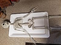 Review Image by Rindy Haden Rindy Haden