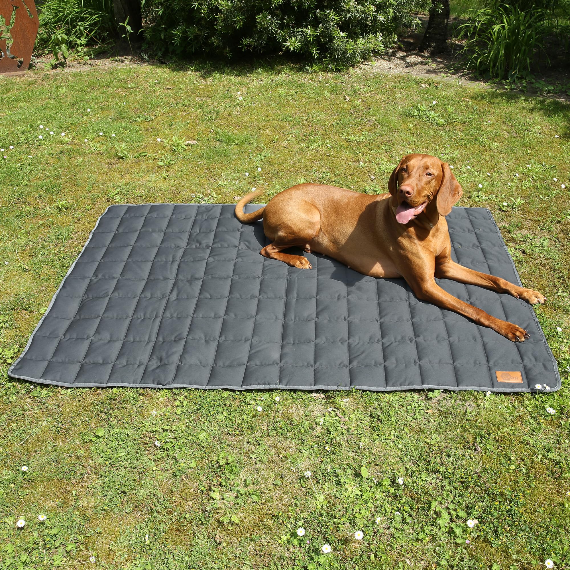 your GEAR Lana Hundematte XXL 160x100 cm – Hundedecke waschbar 60°C – Wasserdicht & Robust – Baumwolle Hundekissen – Auto Kofferraummatte Sofaschutz – XXL Haustiermatte