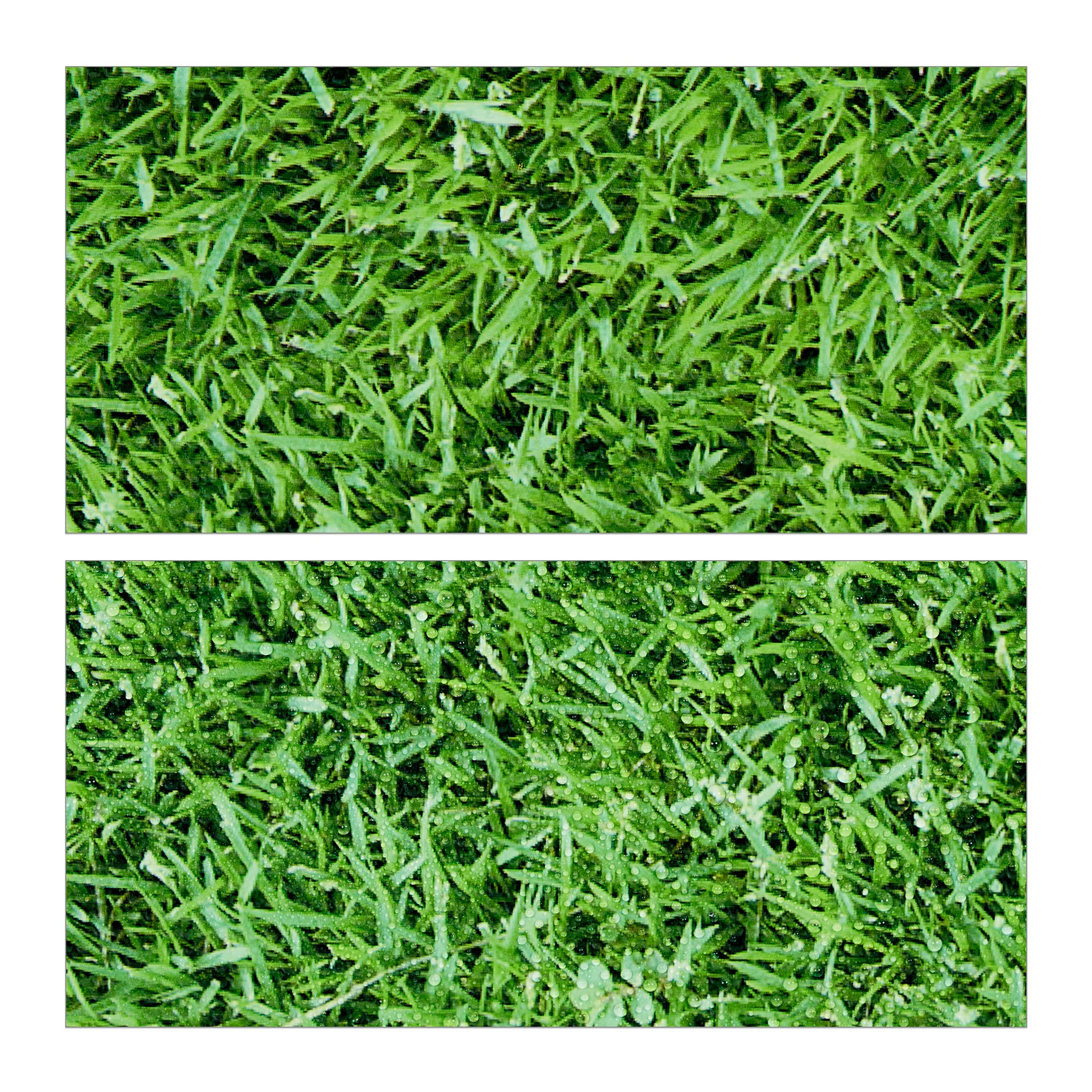 Relaxdays Set da 8 Tappettini Protettivi per il Pavimento, 60x60 cm, Fino a 3m², Effetto Prato, Gommapiuma EVA, Verde
