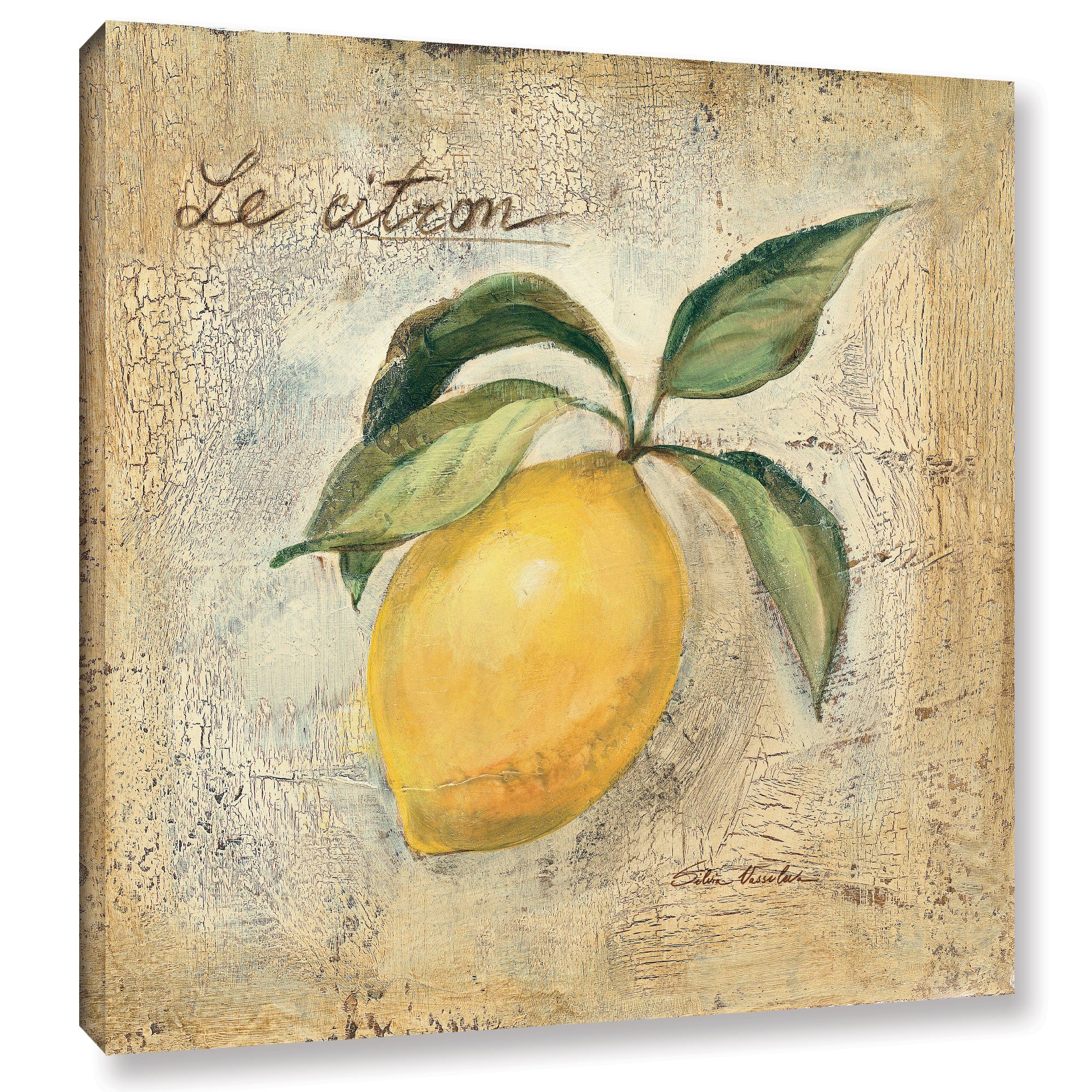 Silvia Vassileva ''Le Citron'' Gallery Wrapped Canvas, 14X14
