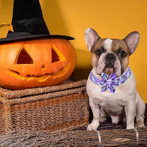 Miniatura 5 de Collar de perro de Halloween con lazo de girasol, calabaza navideña y collar morado para mascotas pequeñas, medianas y grandes