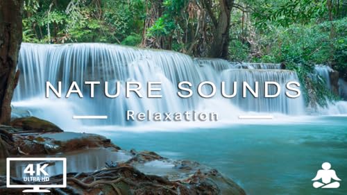 Som tranquilo: o melhor Ruído Branco Da Natureza para relaxamento e sono - para Tablet e Fire TV Edi