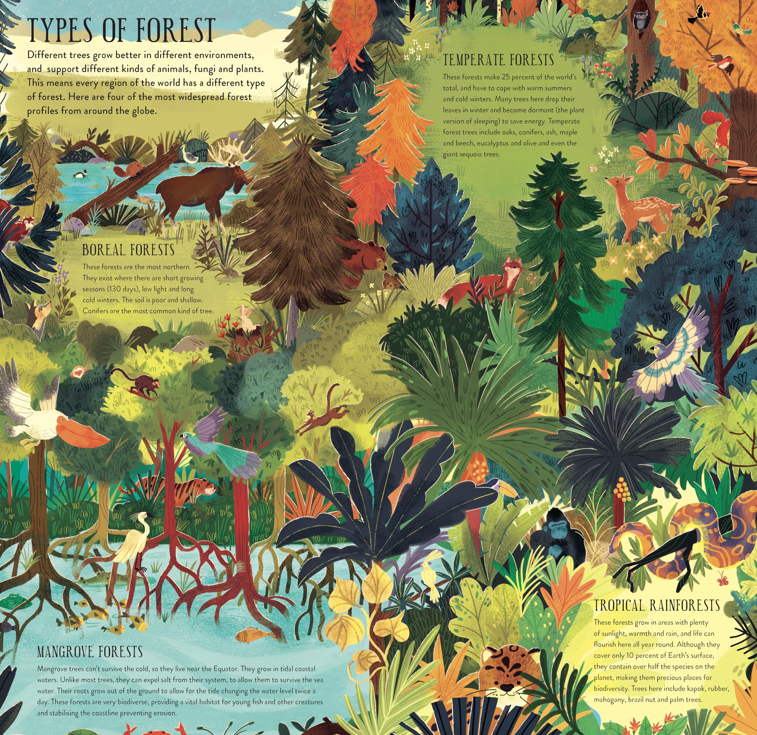 Make and Play: Build A Tree: Build a 30cm Oak Tree! Includes a 32-page Book and 40+ Model Pieces