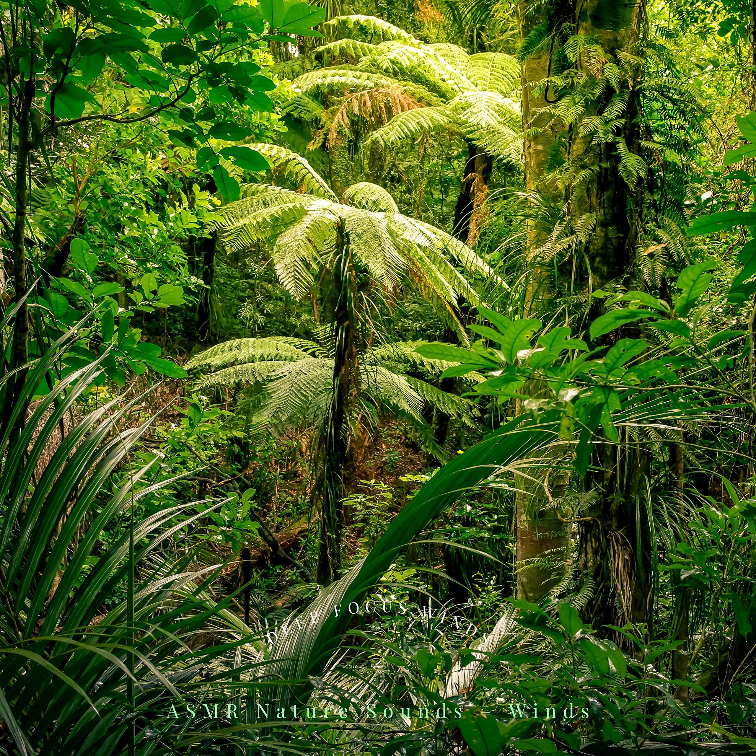 ASMR Nature Sounds – Winds
