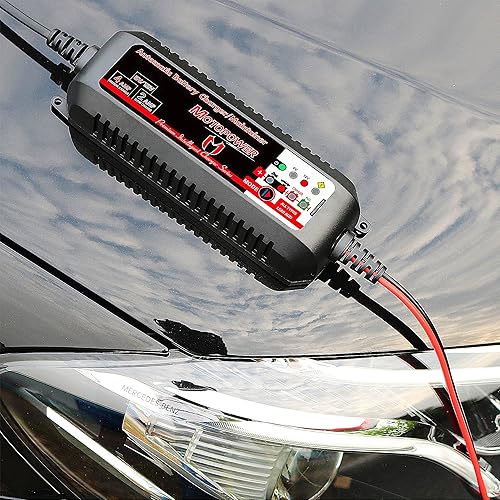 Miniatura 7 de Cargadores de batería