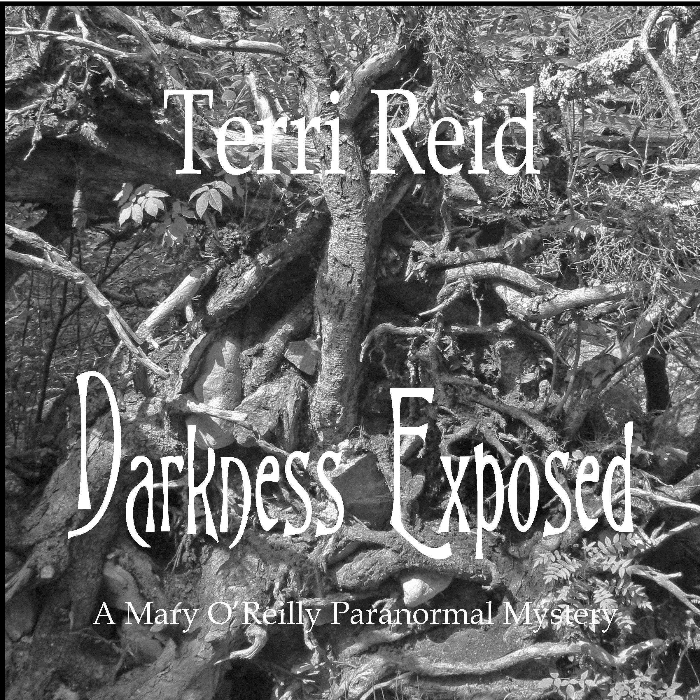 Cover art for Darkness Exposed