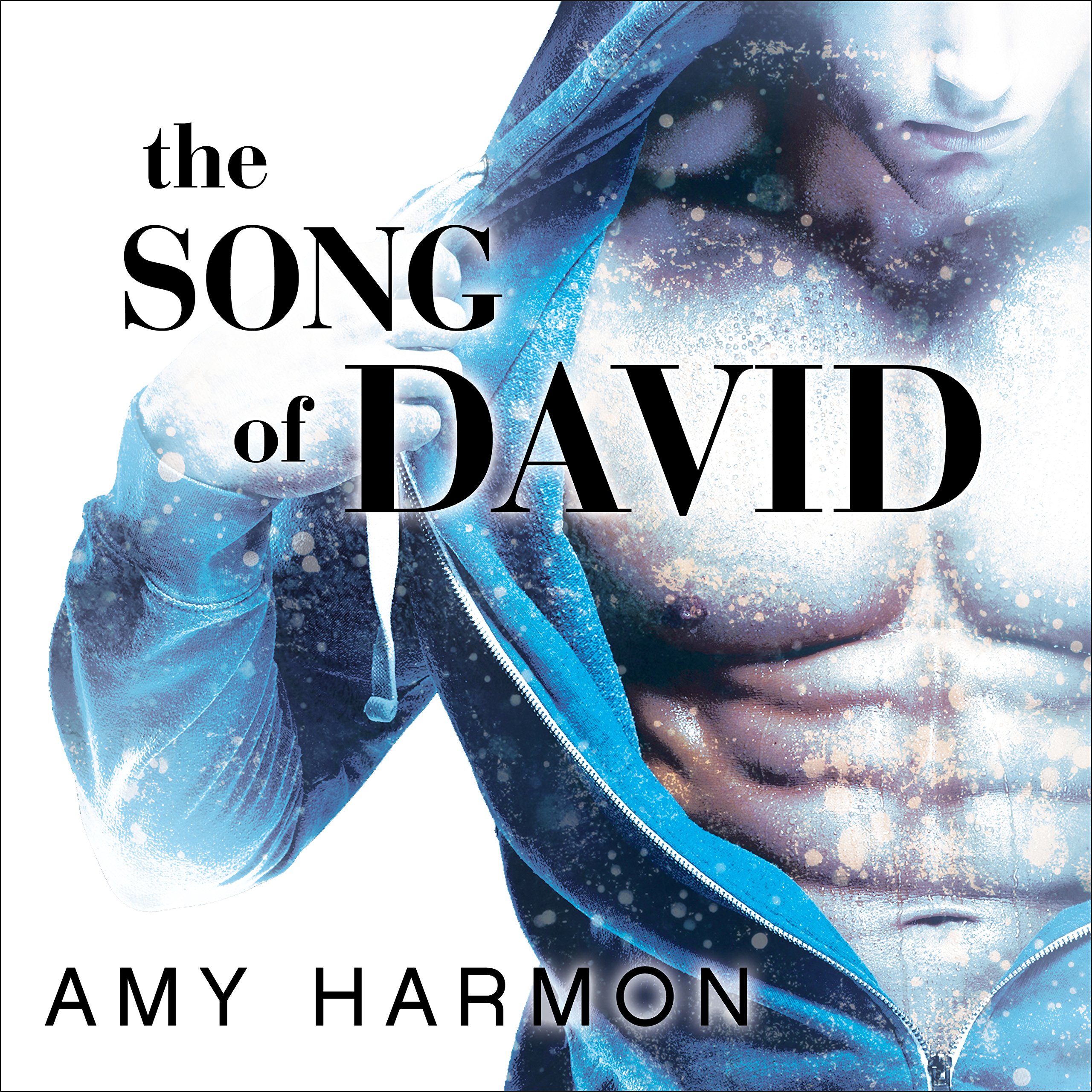 Cover art for The Song of David
