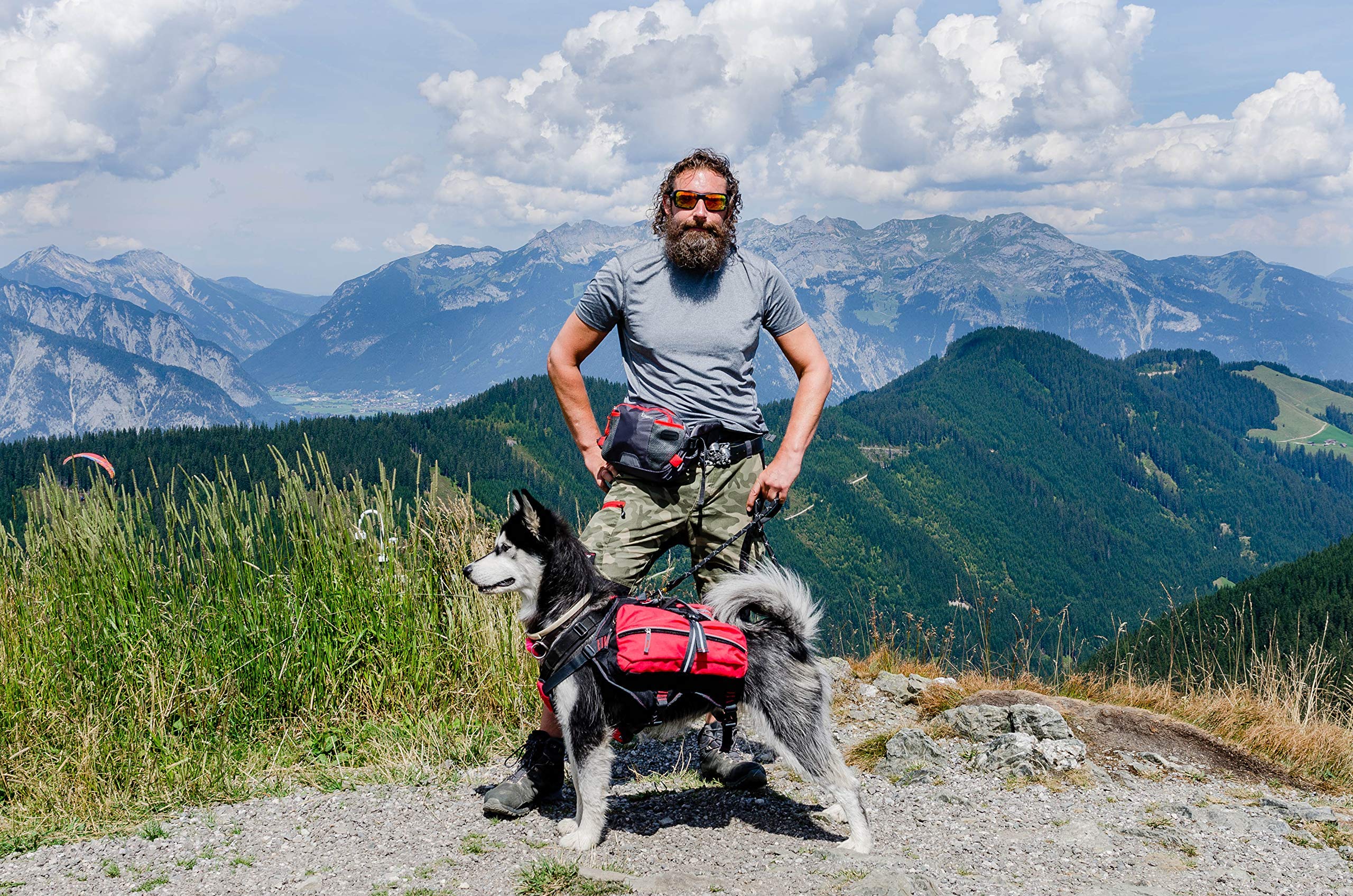 iEnergy™ Mal Sac à Dos pour Chien : équipement de randonnée rembourré résistant aux intempéries, idéal pour Les Grands et Petits Chiens, Sac de Voyage pour Chiens avec Harnais de randonnée, Taille M
