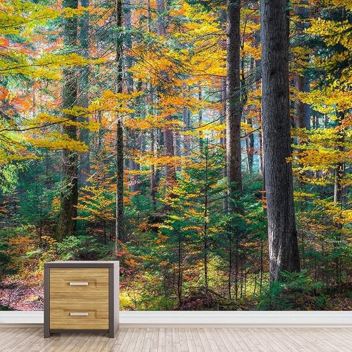 Miniatura 3 de SIGNFORD Adhesivo de pared extraíblemural de pared multicolor, bosque otoñal, árbol, paisaje, naturaleza, desierto, rústico, granjacampo,