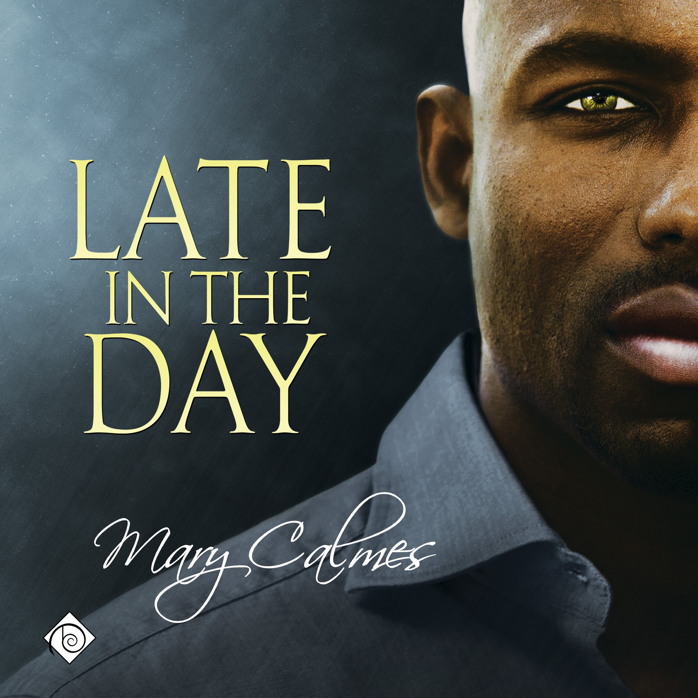Cover art for Late in the Day