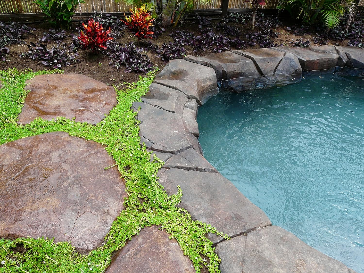 & SpidaGlove | Concrete Texturing System for Stepping Stones, Landscape Edging, or Decorative Concrete. Northwest Stone Textures. (Cascade Canyon)