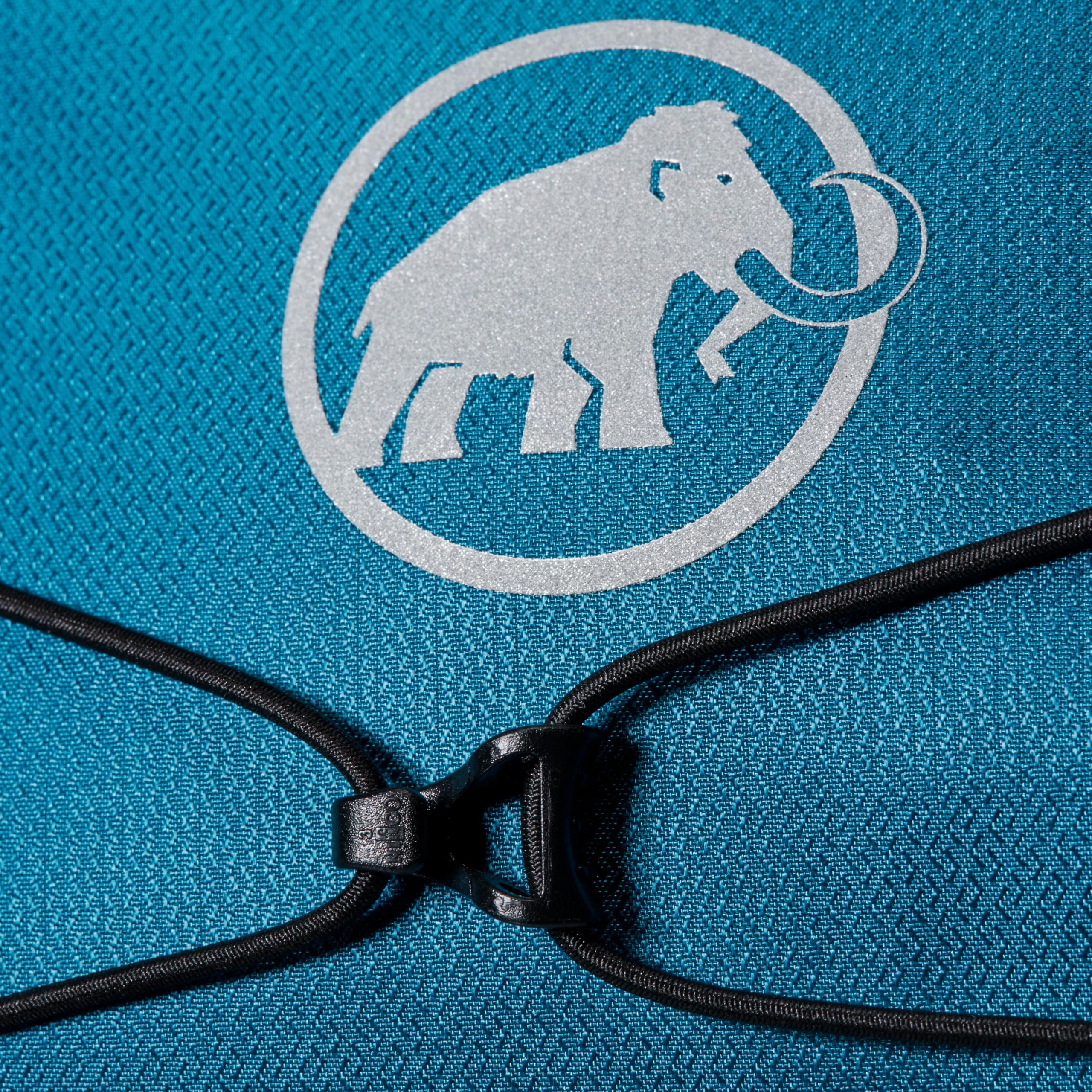 Lithium Waistpack