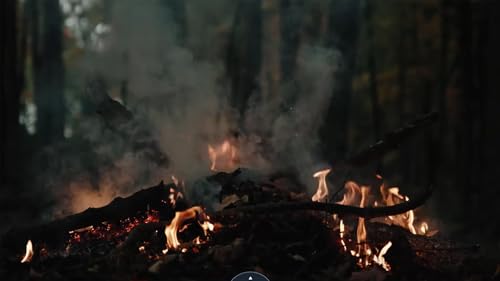 fire place screensaver 4k