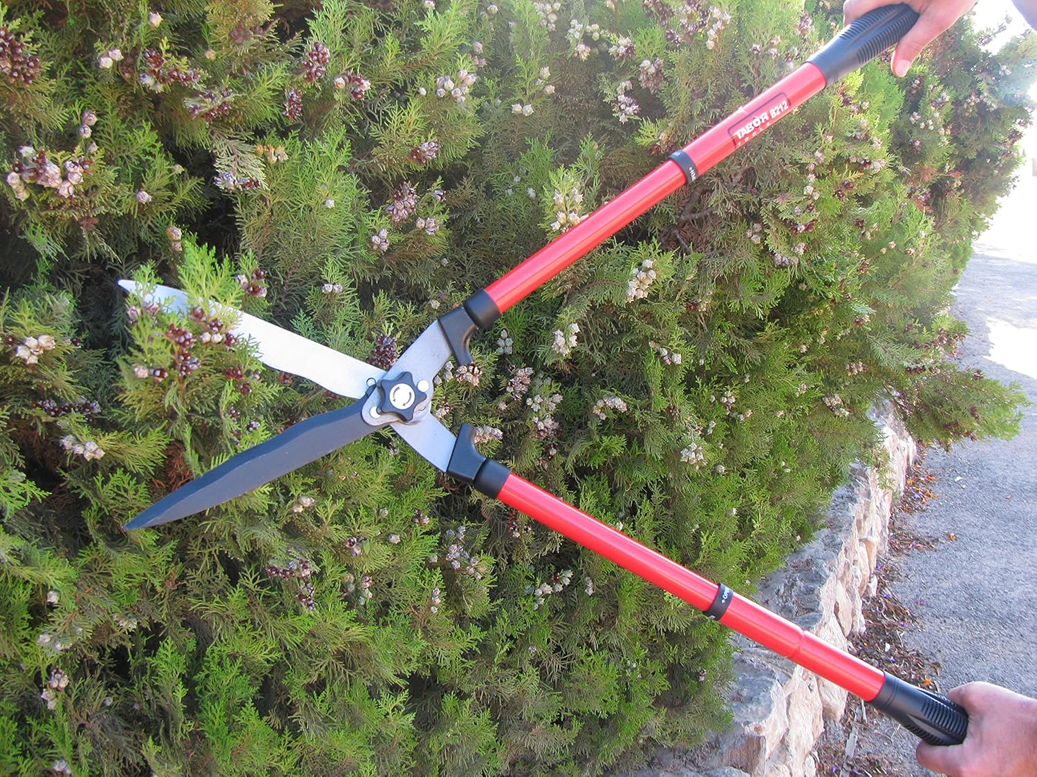 TABOR TOOLS B212A Telescopic Hedge Shears with Wavy Blade and Extendable Steel Handles. Extendable Manual Hedge Clippers for Trimming Borders, Boxwood, and Tall Bushes. : Patio, Lawn & Garden