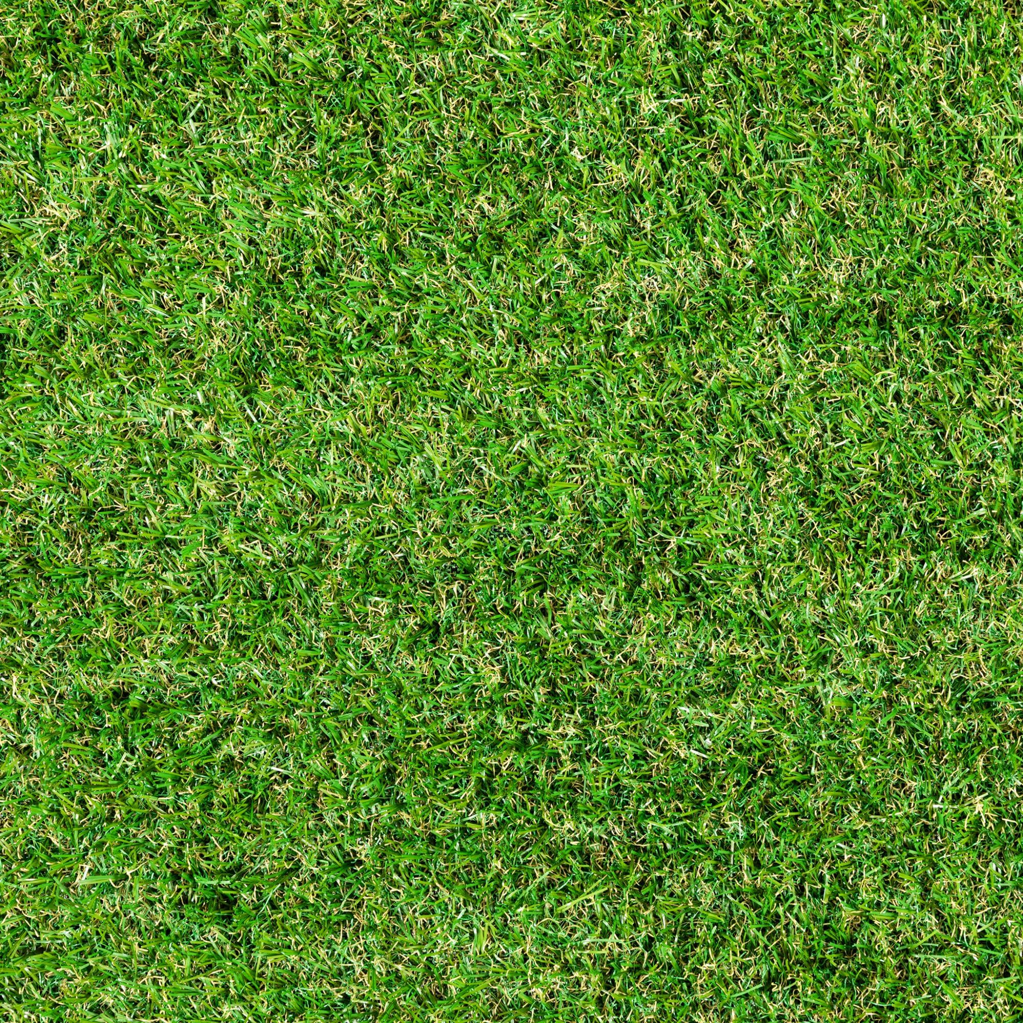 Steffensmeier Kunstrasen Stirling 24 mm 1.038 g/m² UV-beständig Smart Kollektion | Grün, Größe: 100x600 cm