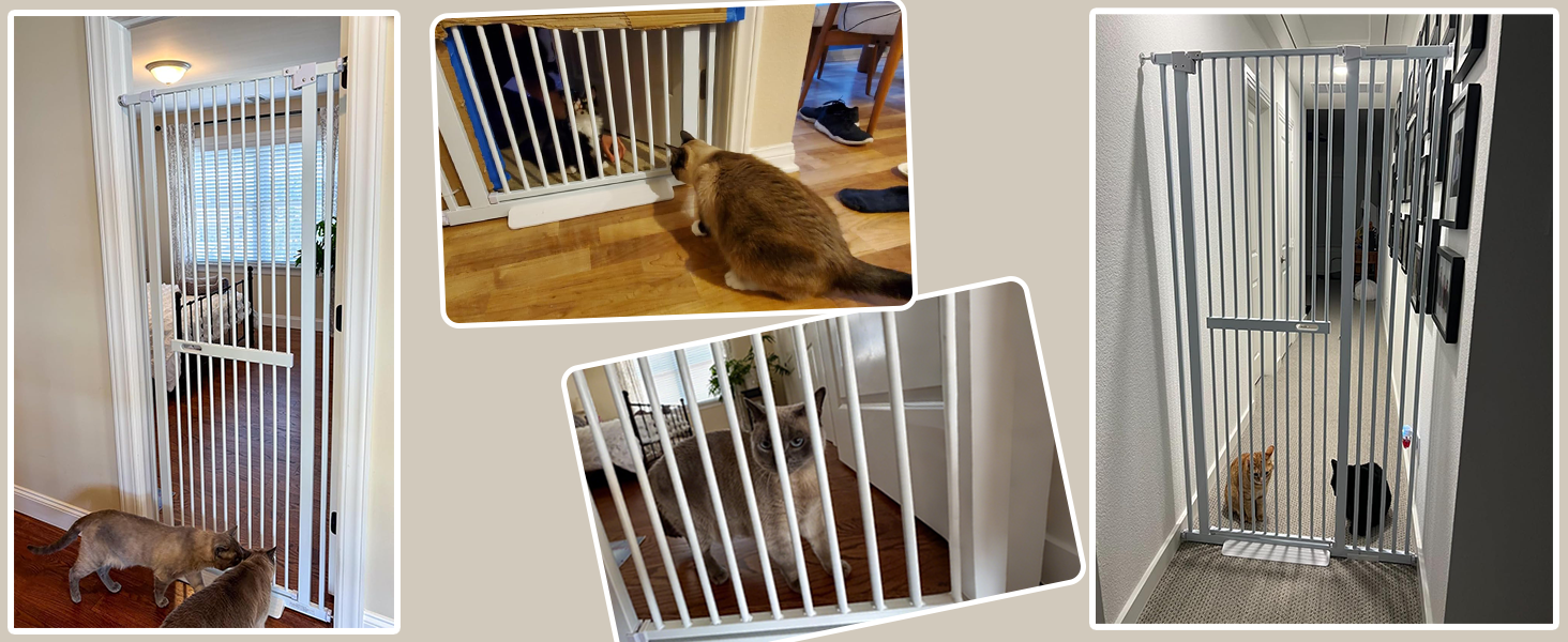 Amazon.com: WAOWAO 71