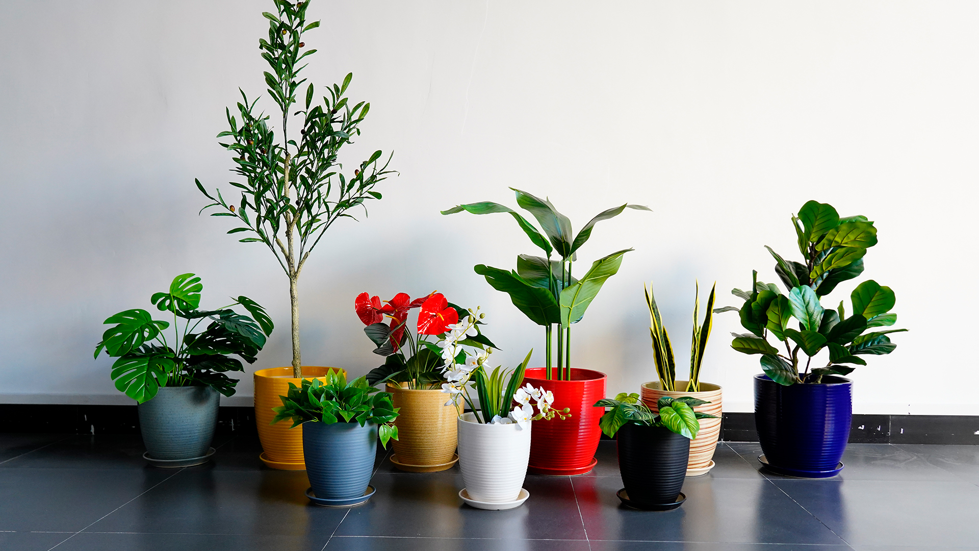 Amazon.com : EPFamily Ceramic Plant Pot 10 Inch - Large Planter