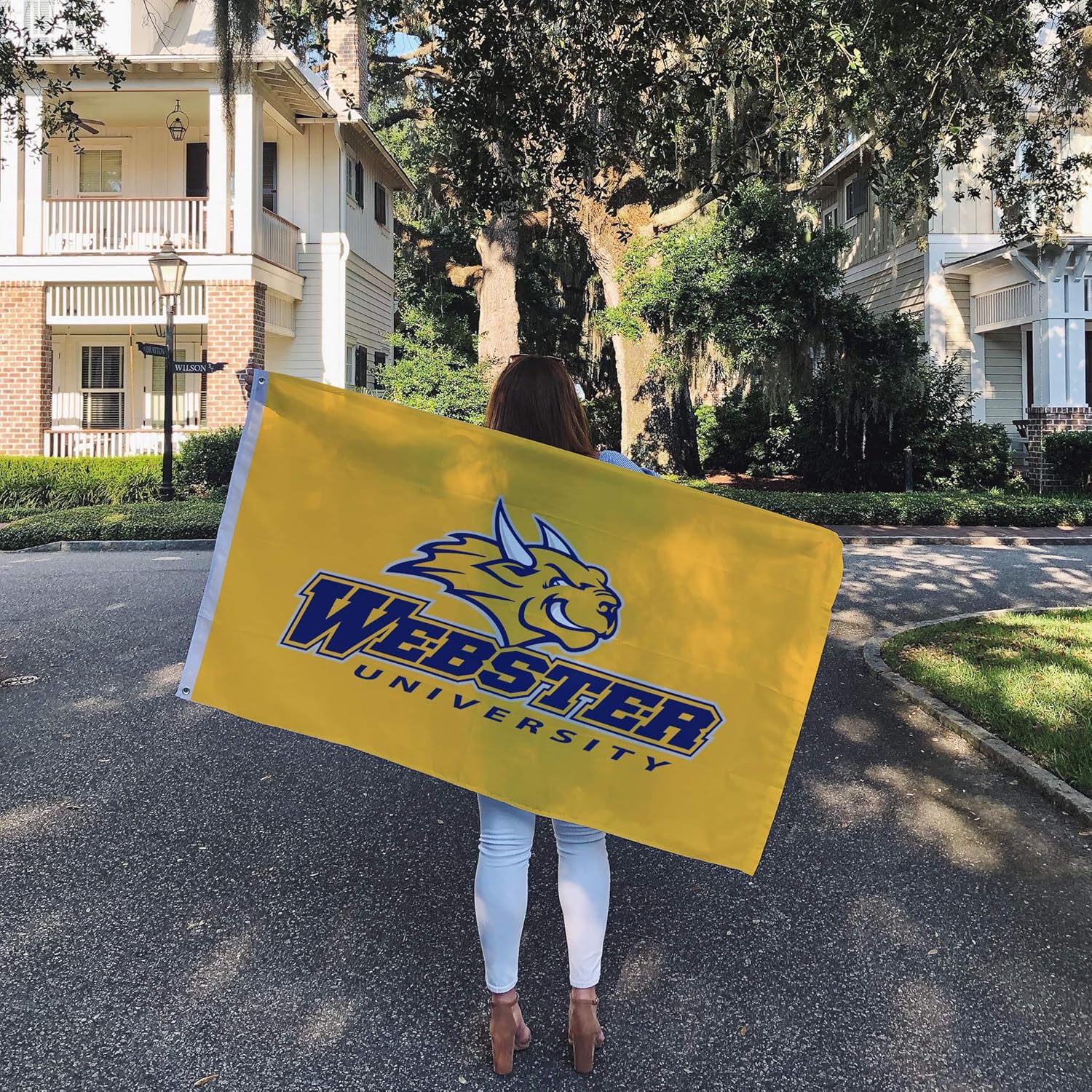 Desert Cactus Webster University WU Flag - 3 x 5 Feet Gorloks Banner, Indoor/Outdoor Durable Fabric, 100% Polyester Design (Style 1) - Image 6