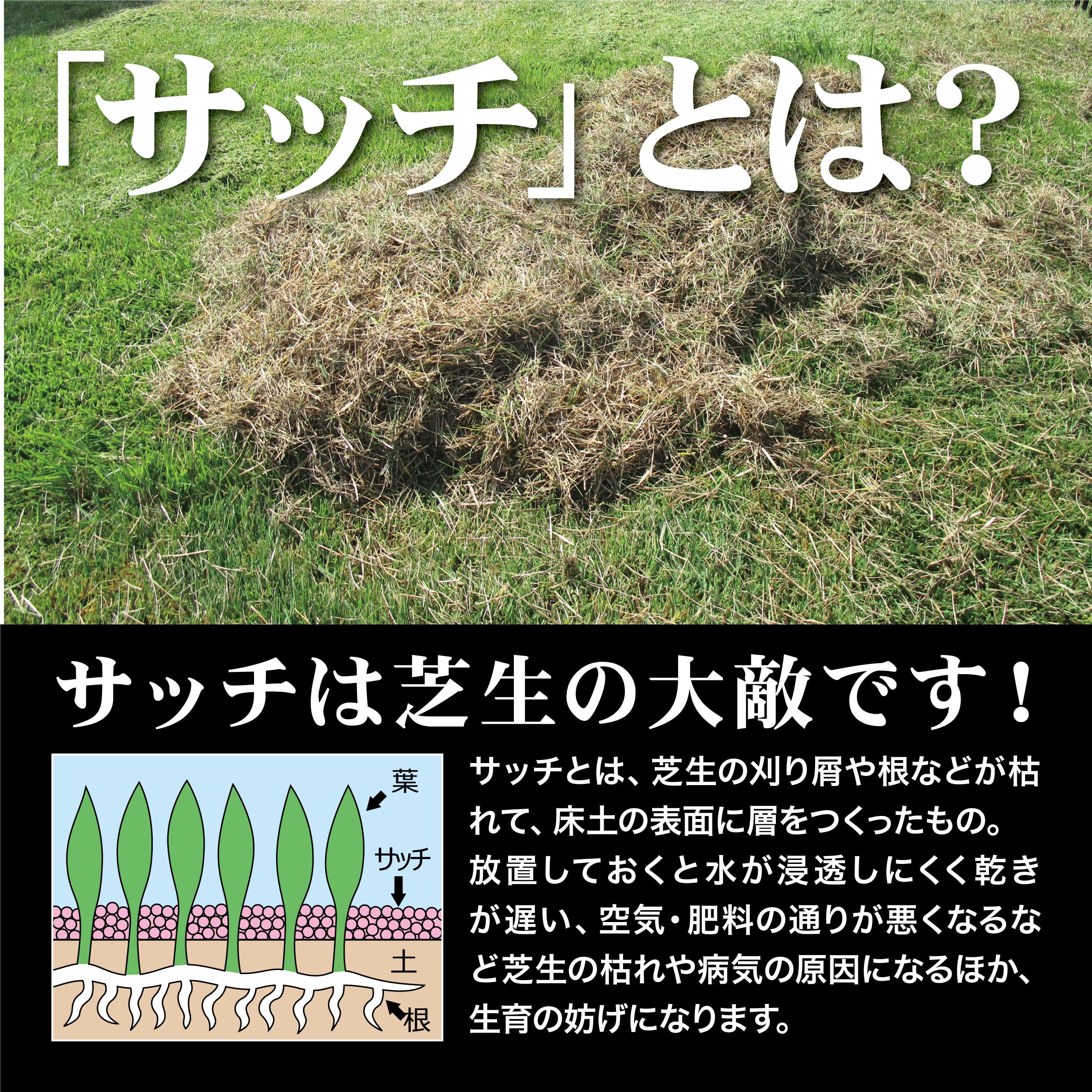 Amazon.co.jp: キンボシ(Kinboshi) ゴールデンスター 電動 芝生手入れ
