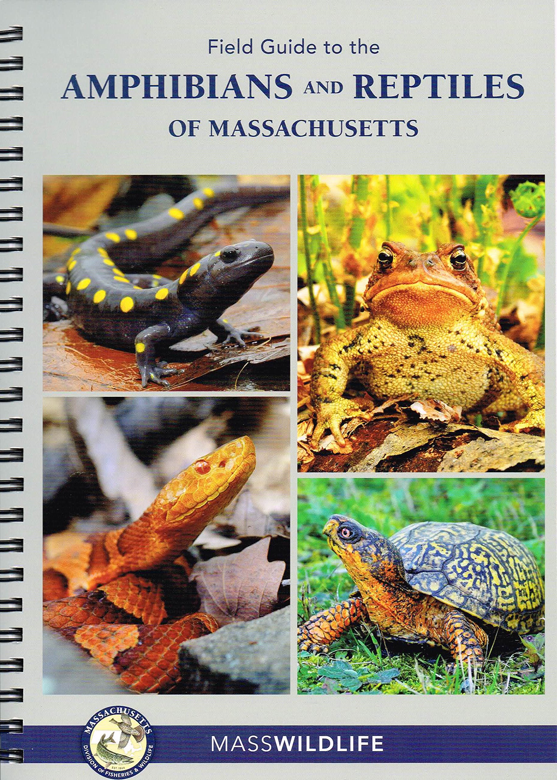 Field Guide to the Amphibians and Reptiles of Massachusetts Peter G