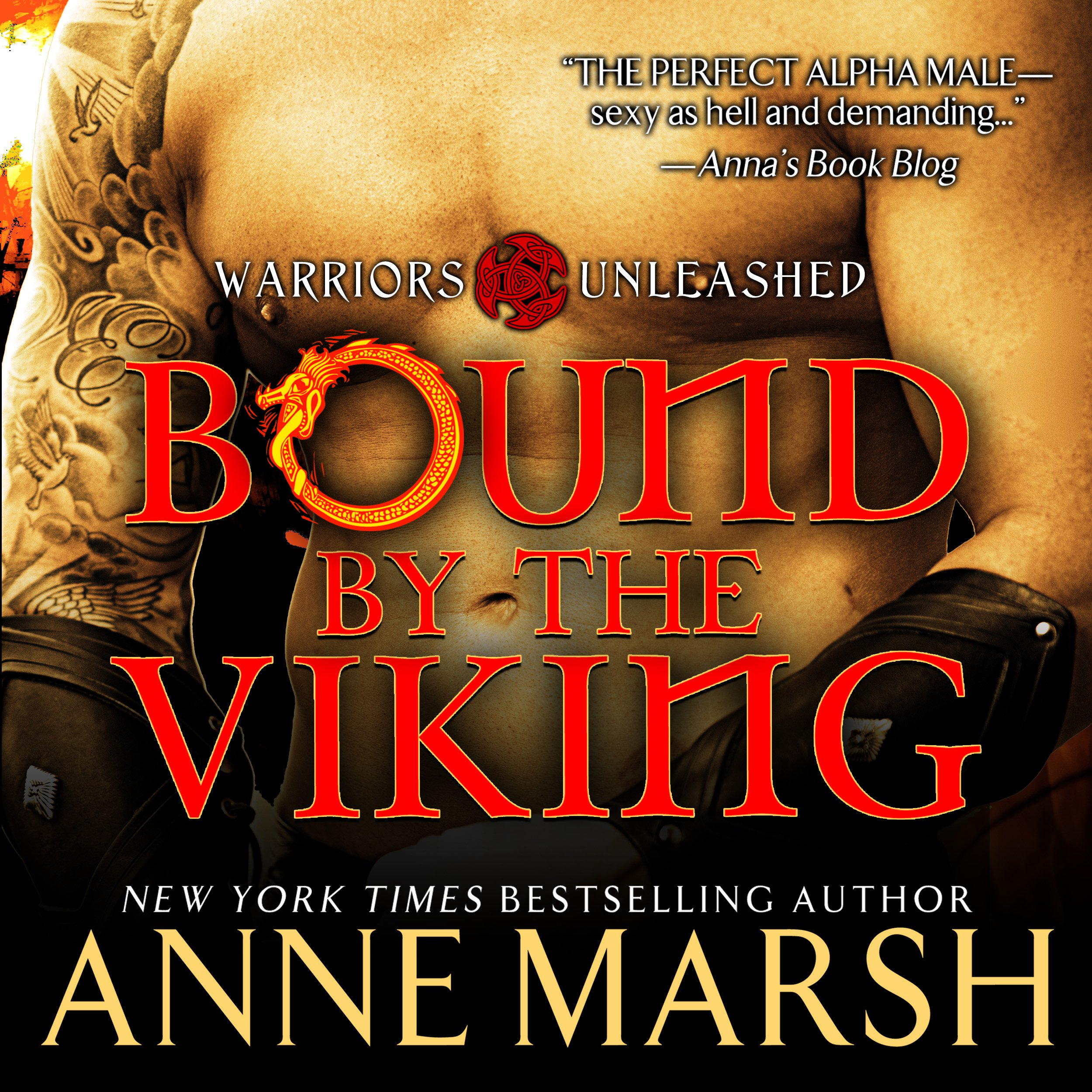 Cover art for Bound by the Viking