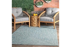 nuLOOM Wynn Braided Indoor/Outdoor Area Rug