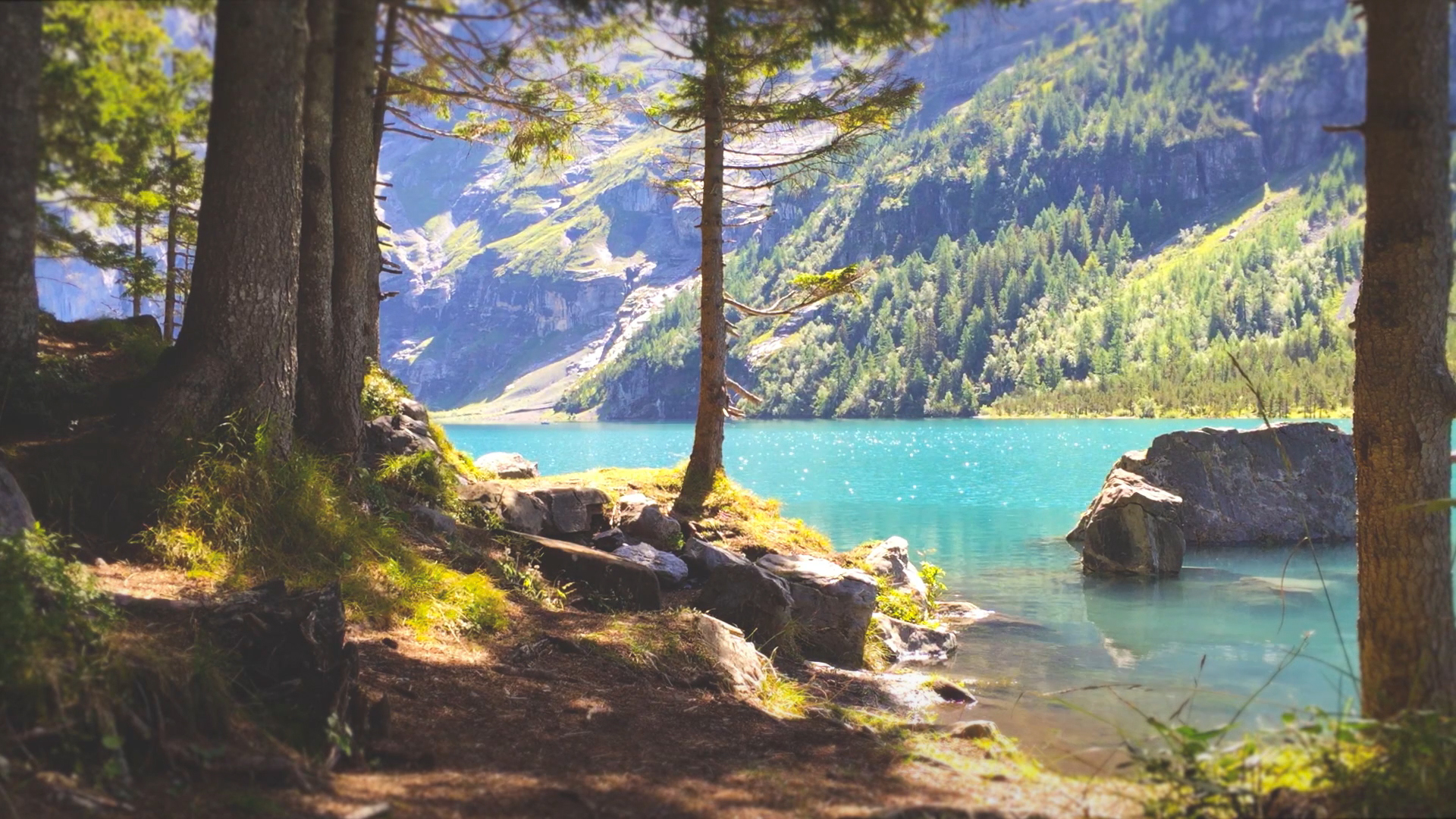 Vindora Vindora Alpine Ambients - App on Amazon Appstore