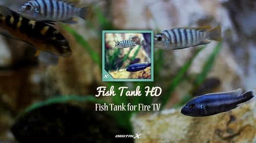 Fish Tank HD - Fish Tank for Fire TV
