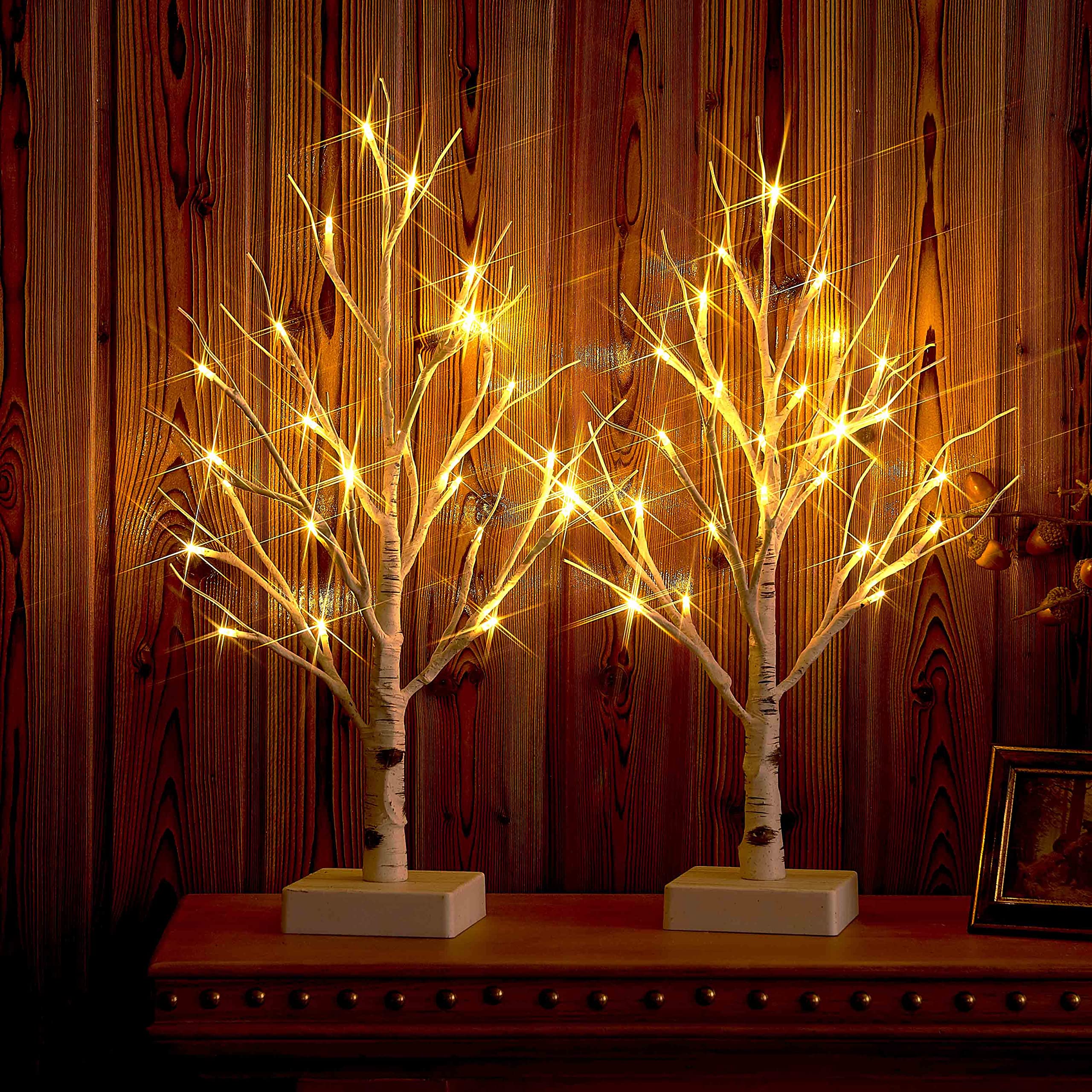 Hairui Pre Lit Tabletop Birch Tree with Timer 24LED 18IN Battery Operated for Easter Christmas Party Decoration 2 Sets