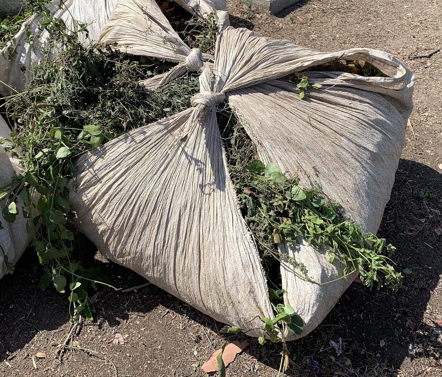 Sandbaggy Hojas de polietileno de plástico de 80 pulgadas x 80 pulgadas para paisajistas y jardineros (6)