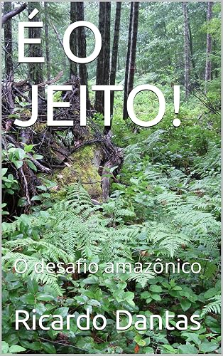 É O JEITO!: O desafio amazônico