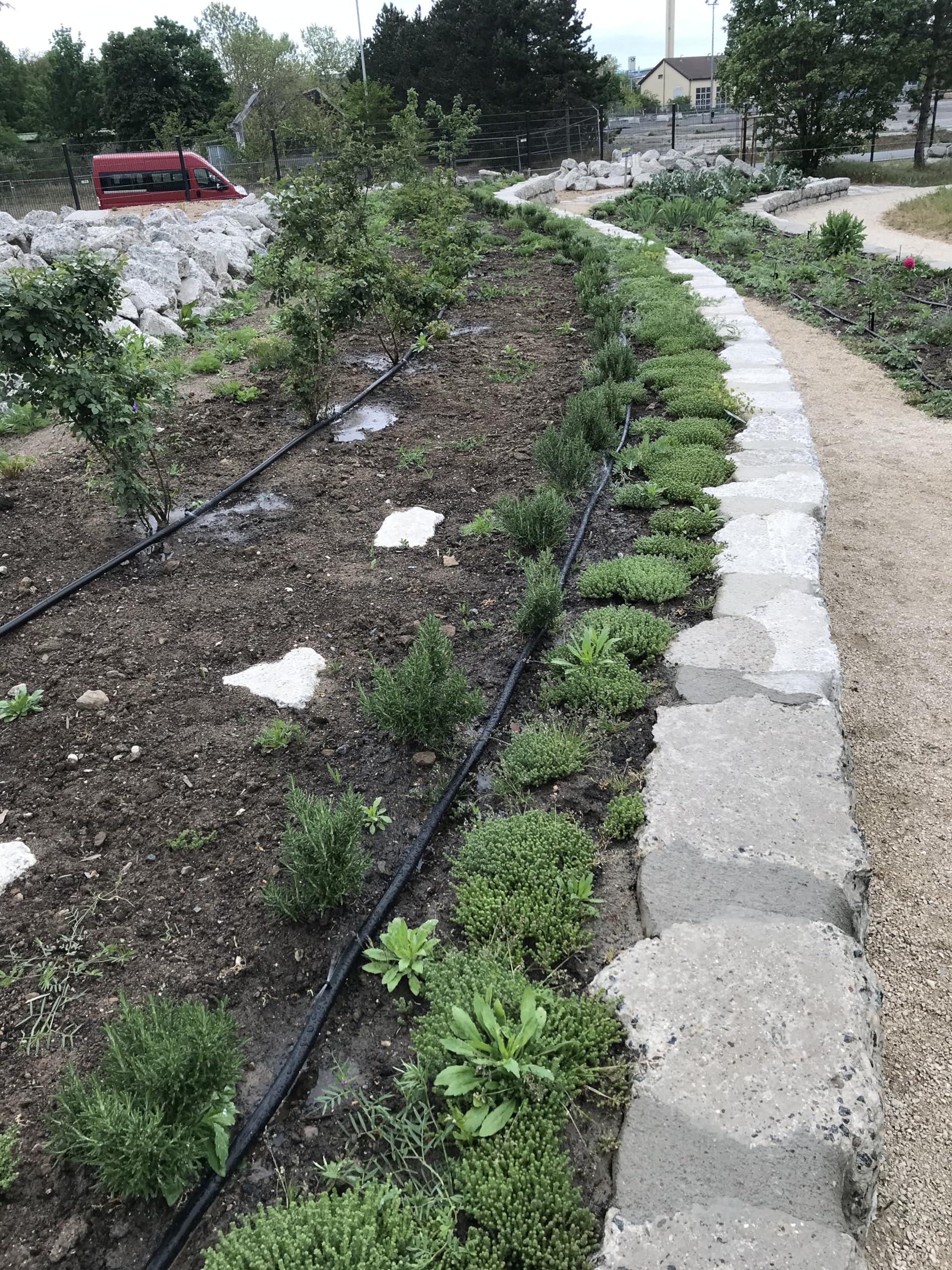 Regenmeister Gartenbewässerung Set für 25 m Hecke und schmale Beete Schnappanschluss