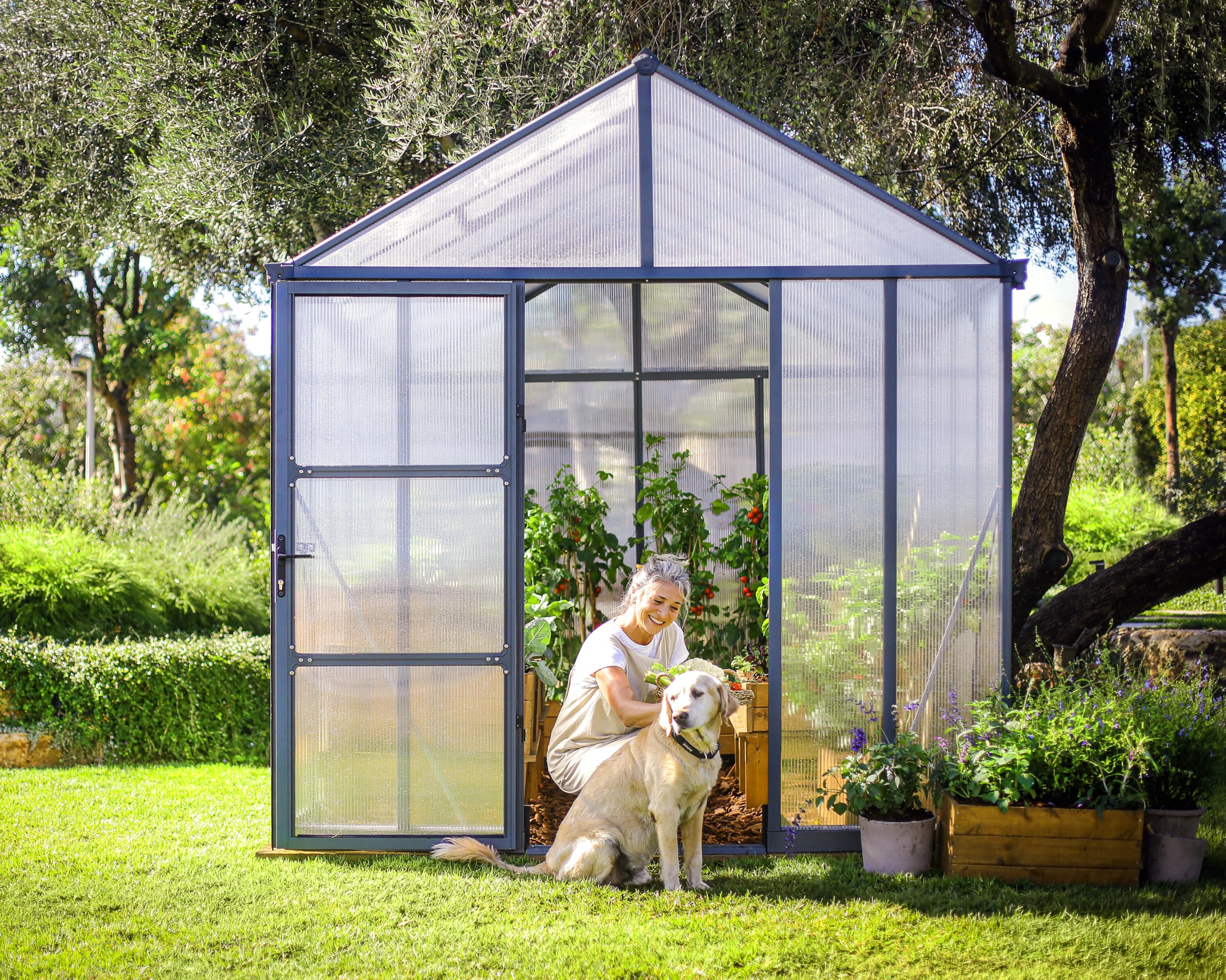 Canopia by Palram Gewächshaus Gross Glory 8x12 Treibhaus 253x364 cm Aluminium Anthrazit Tomatenhaus Polycarbonatplatten UV-beständig