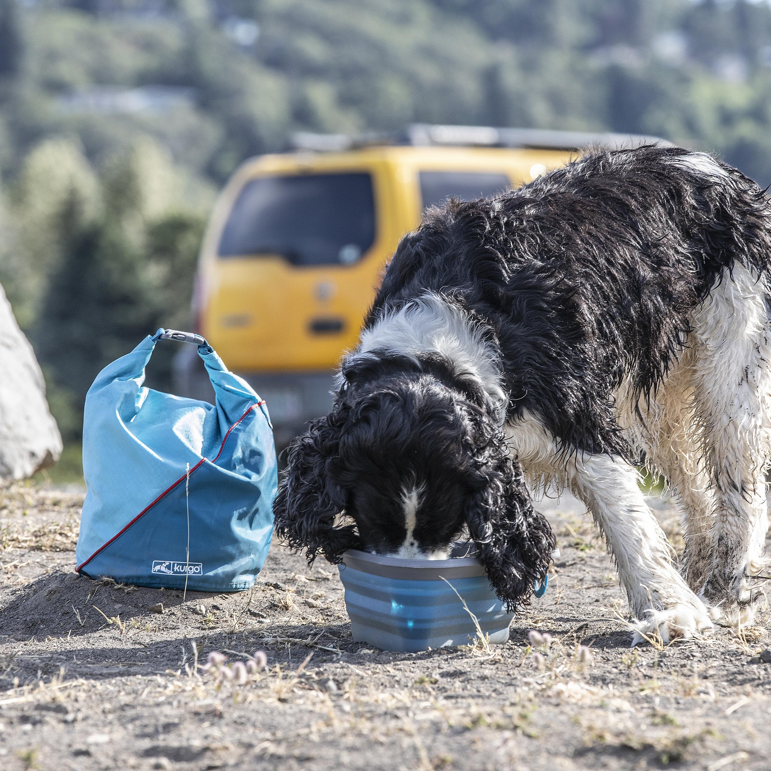 Kurgo Sac à Croquettes pour Chiens, Accessoire pour le camping, sans BPA, pliable, capacité 2,2 kg, Bleu