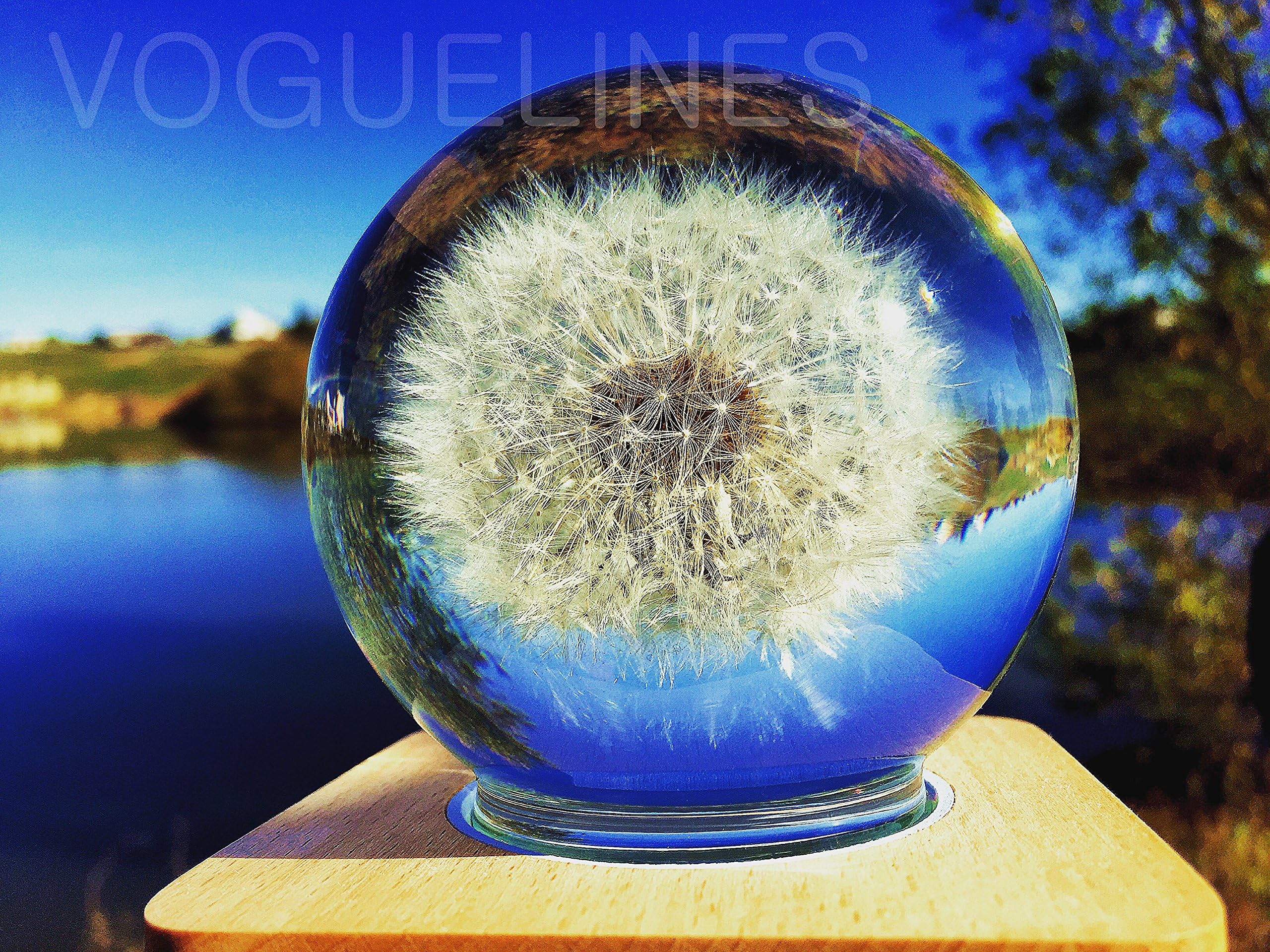 Handmade - Real Dandelion Floating in Crystal Ball - Touch Control Lighting (Night Light) - Home / Office Decor Birthday / Thanksgiving Gifts