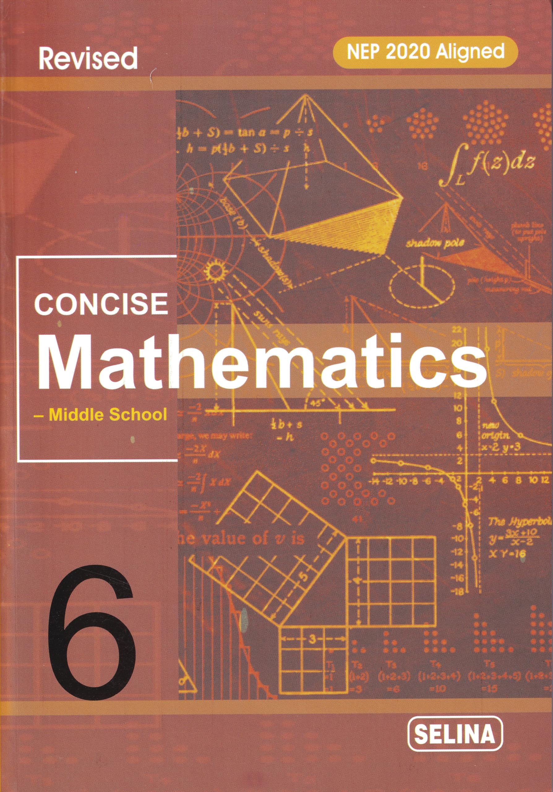 Concise Mathematics-Middle School 6 - by R.K. Bansal (2024-25 Examination)