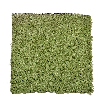 Aura Furnishings Artificial Grass Turf Mat Carpet - 10 Feet X 10 Feet ,Lush Green)