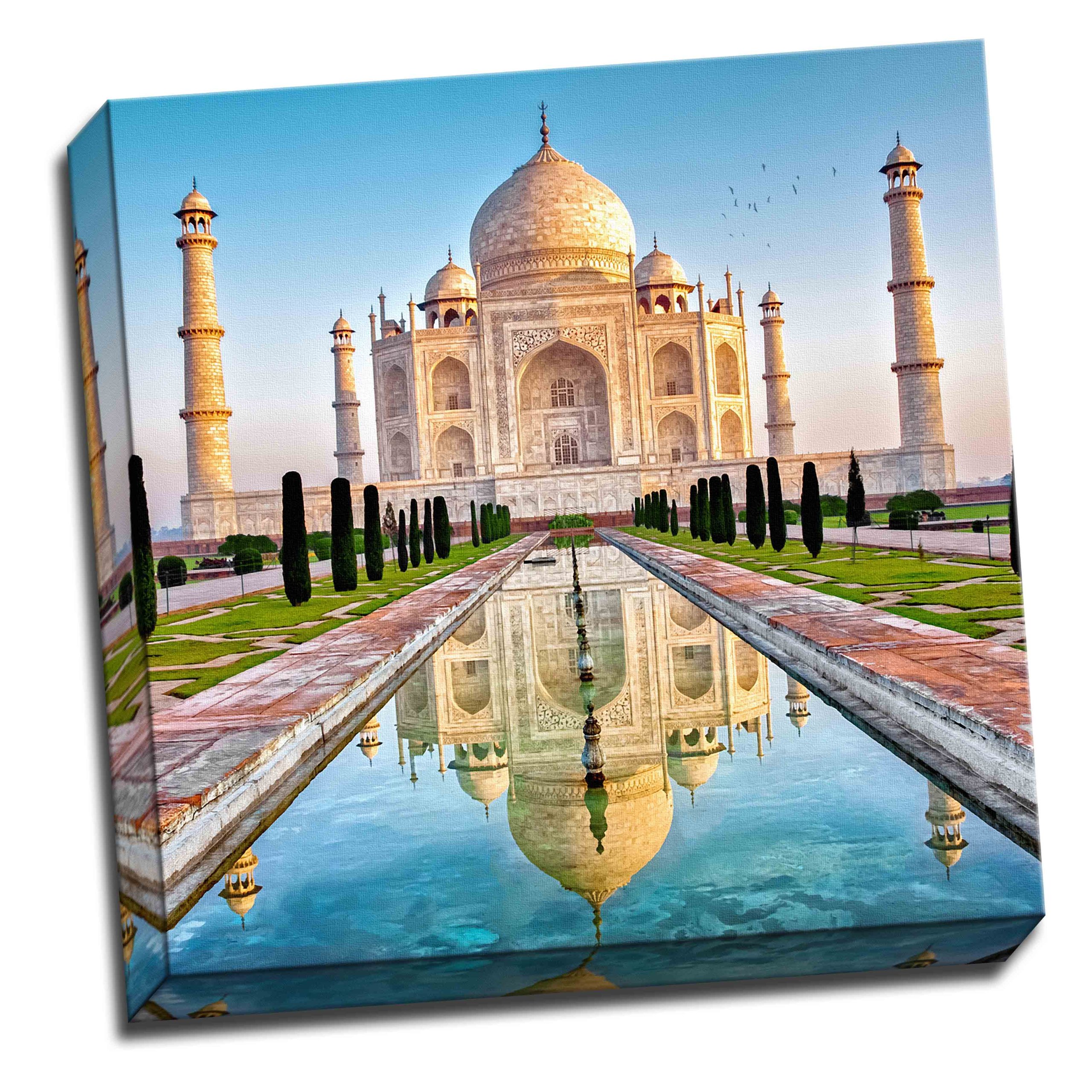 Panther Print Taj Mahal Canvas Art Print Picture 20"X 20" Inches