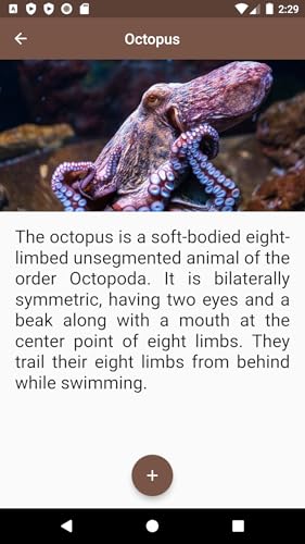 Sea Animals SA