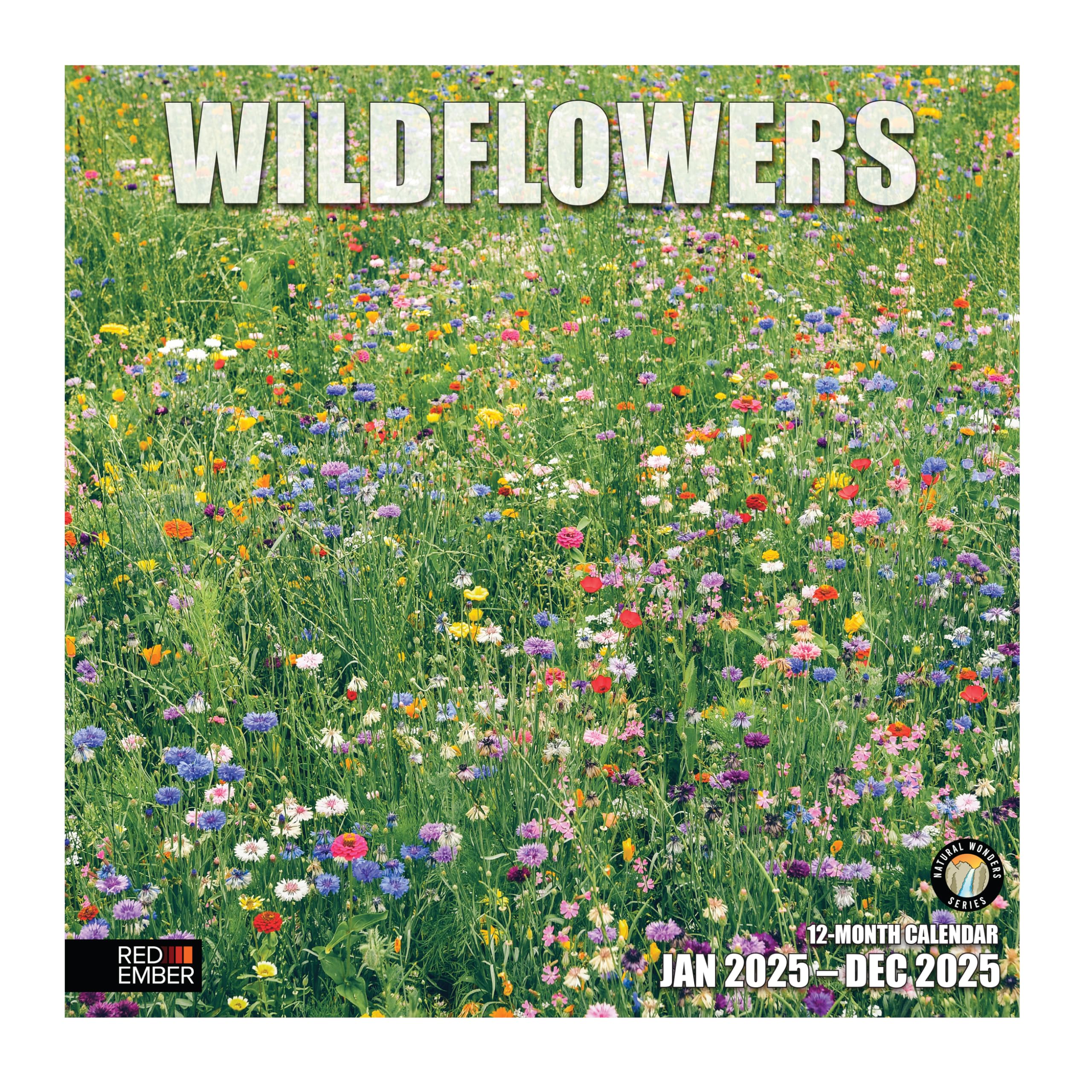 RED EMBER Wildflowers 2025 Wall Calendar 12 Month | 12" x 24" Open | Thick &amp; Sturdy Paper | Giftable | Calendar 2025
