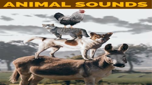 Animal Sounds – vue 2