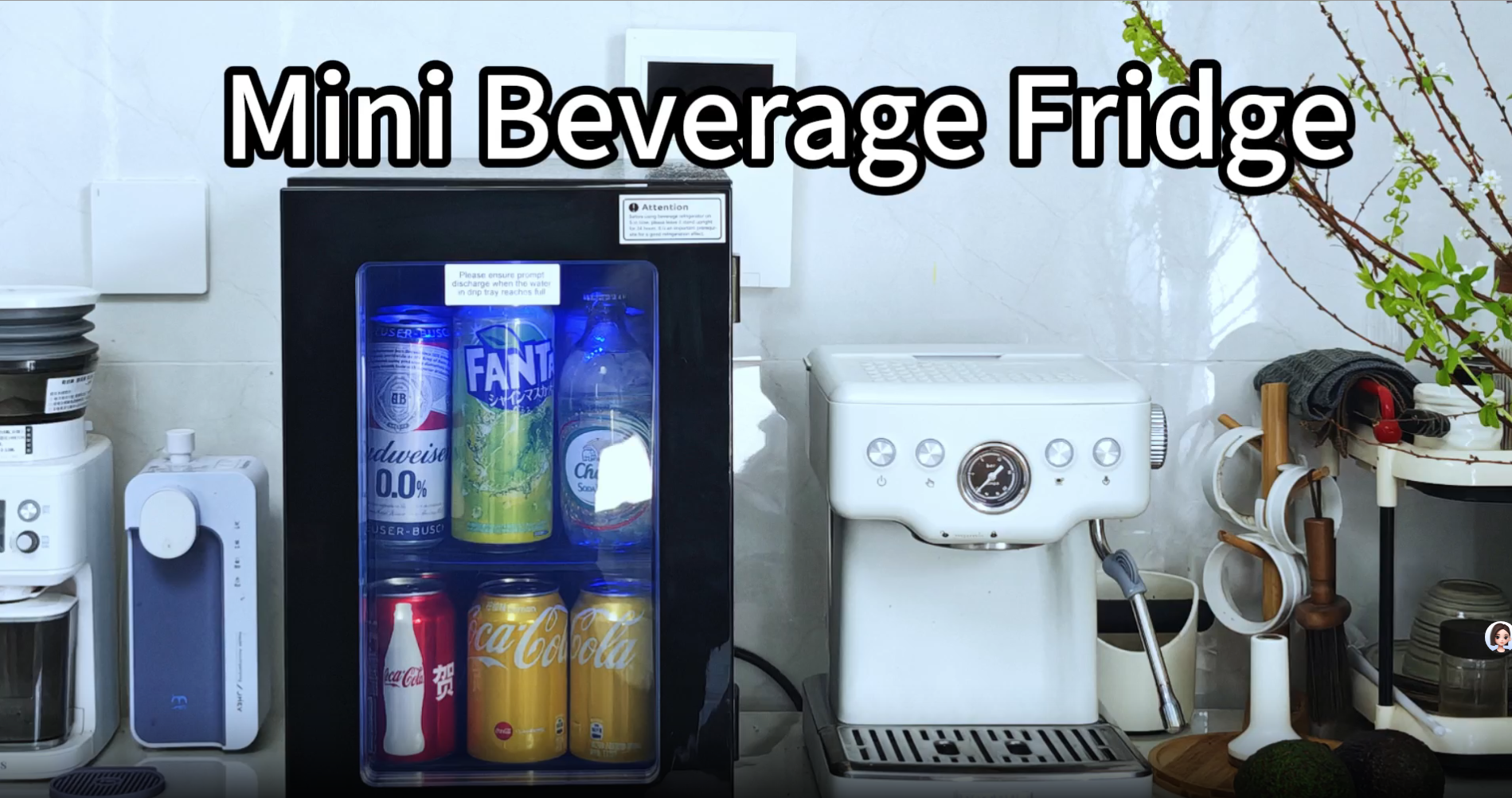 Amazon.com: Feelfunn 24 Cans Beverage Refrigerator Cooler - Mini